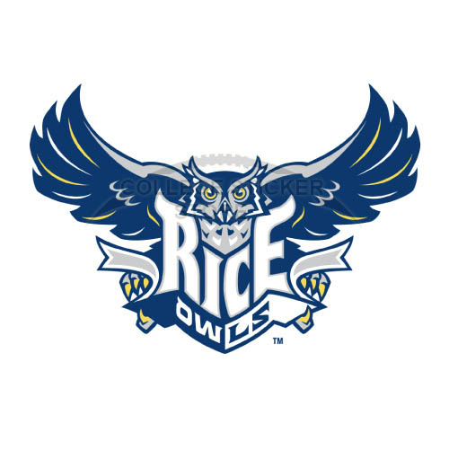 Homemade Rice Owls Iron-on Transfers (Wall Stickers)NO.5995